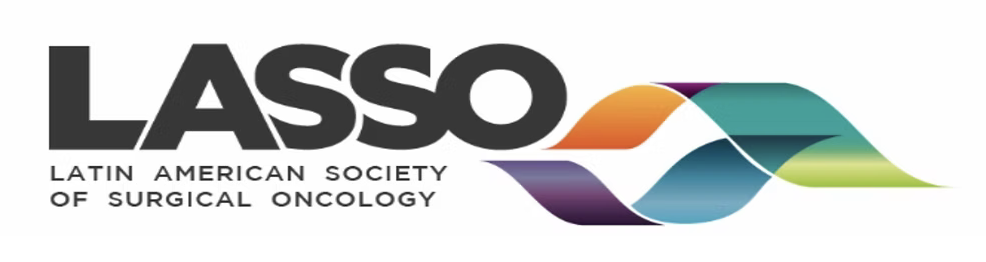logo LASSO
